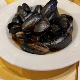 Mussels Mussels
