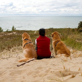 Grand Mere State Park - Parks Near Me - Stevensville, Michigan