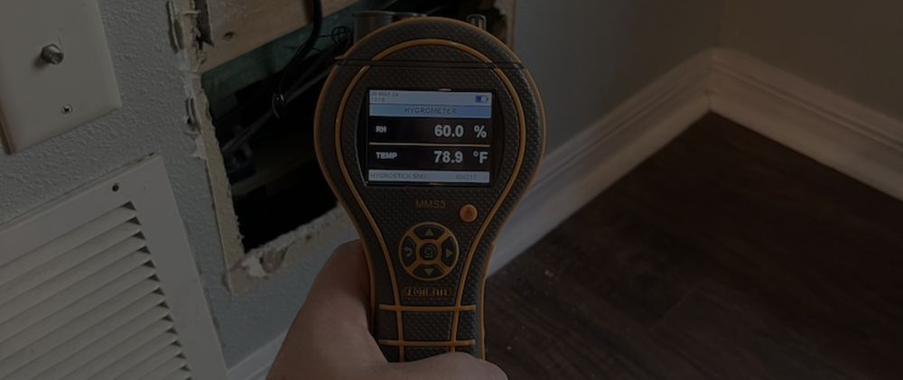 FL Home Inspection and Mold Assessments - mold inspector in St. Petersburg, FL