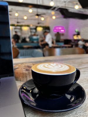 Novela Cafe Social by null