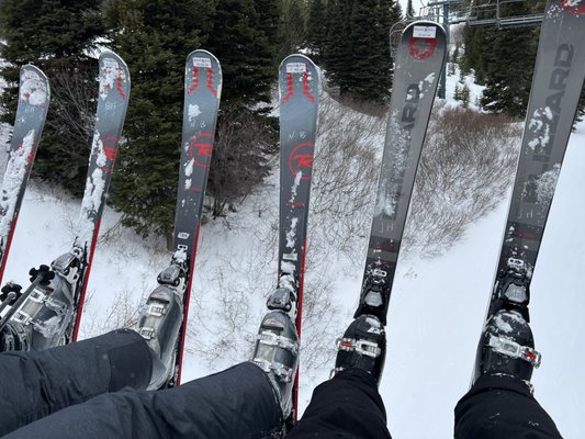 Bridger Bowl Ski Area by null