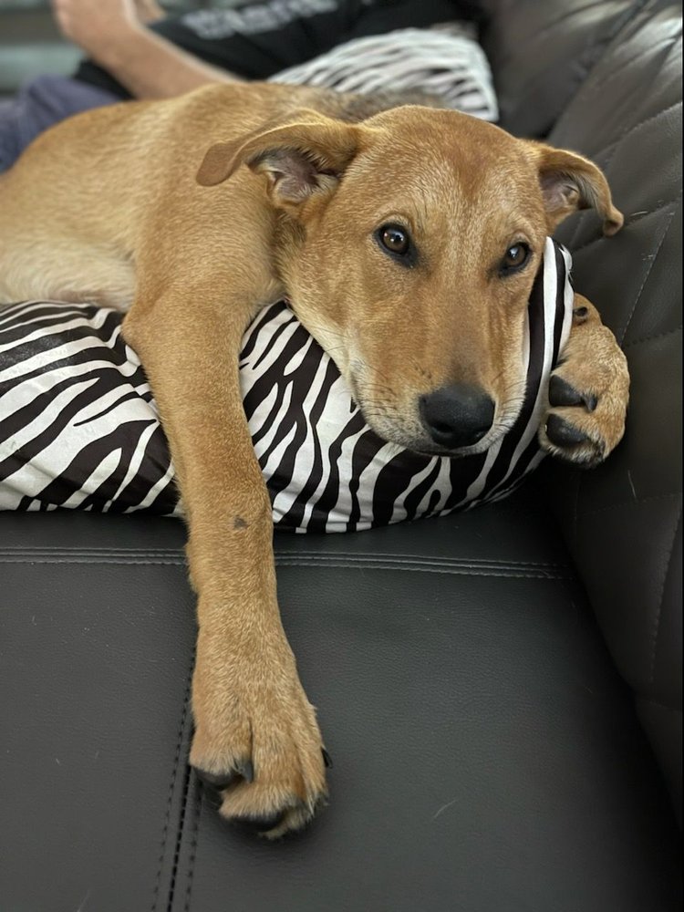 BARKHAM AT MARKHAM PARK 179 Photos & 35 Reviews 16001 W State Rd 84