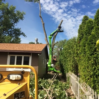C & A Arborists - Tree Services Near Me - New Buffalo, Michigan