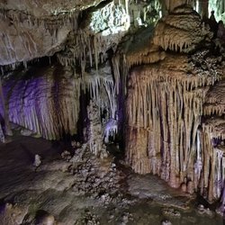 Ses Coves de Gènova - The caves are a treasure