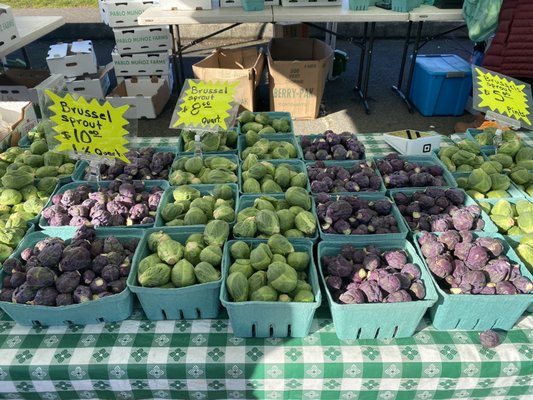 Hillsdale Farmers' Market by null