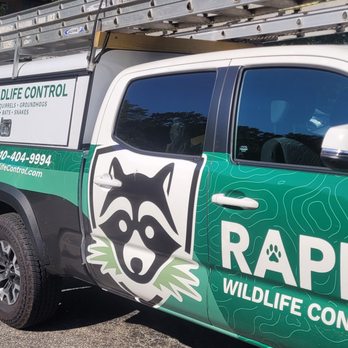 Rapid Wildlife Control - Highly recommend! - Wildlife Control Near Me - Catonsville, Maryland