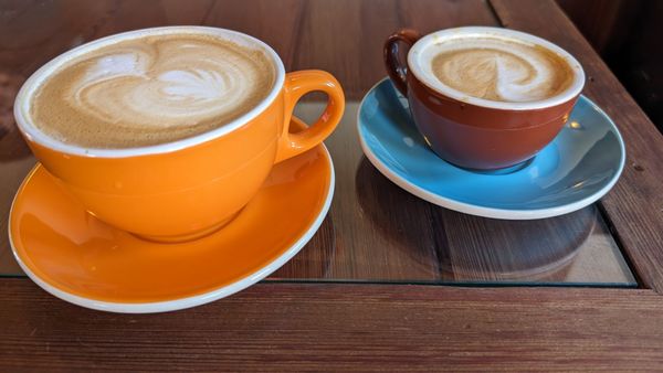 The Waiting Room by null