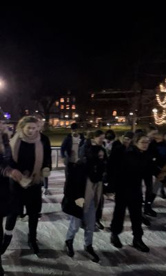 Boston Common Frog Pond by null
