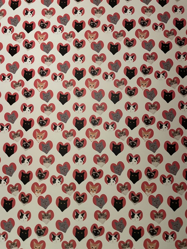 Aloha Kitty Cafe Logo