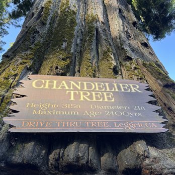 Drive-Thru Tree - Parks Near Me - Leggett, California Drive-Thru Tree - Parks Near Me - Leggett, California