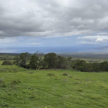 Kula Country Farms - Farmers Market Near Me - Kula, Hawaii Kula Country Farms - Farmers Market Near Me - Kula, Hawaii