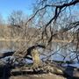 Photo of Neshaminy State Park