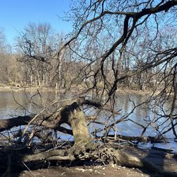 Neshaminy State Park