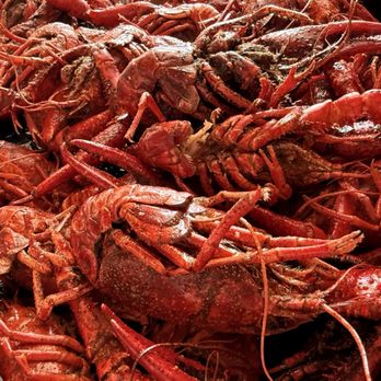 The Cajun Table - 5lb Boiled Crawfish - Cajun/Creole Near Me - Lafayette, Louisiana The Cajun Table - 5lb Boiled Crawfish - Cajun/Creole Near Me - Lafayette, Louisiana