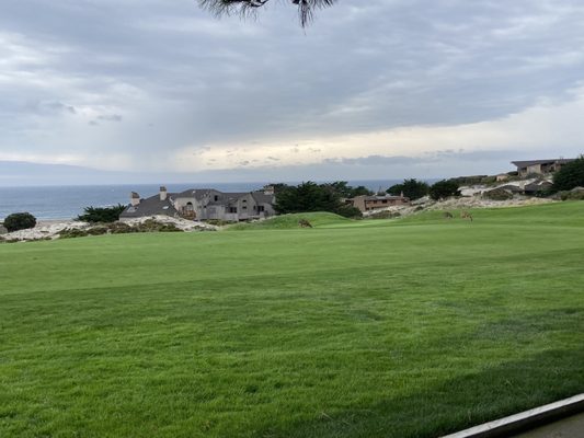 Spyglass Hill Golf Course by null
