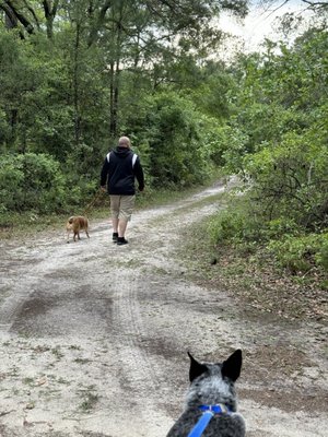Madison Blue Spring State Park by null