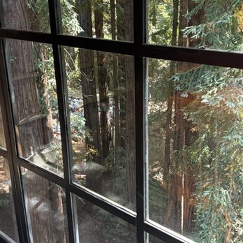 Mill Valley Public Library - Trees - Libraries Near Me - Mill Valley, California Mill Valley Public Library - Trees - Libraries Near Me - Mill Valley, California