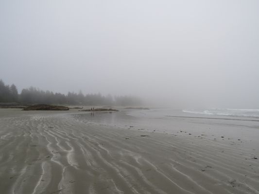 Chesterman Beach by null