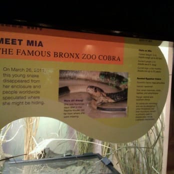 Bronx Zoo - The zoo is definitely capitalizing on their little mistake. - Zoos Near Me - Bronx, New York