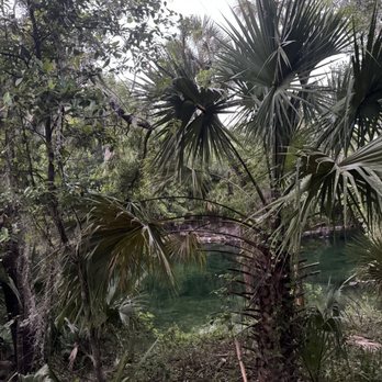 Blue Spring State Park - Parks Near Me - Orange City, Florida Blue Spring State Park - Parks Near Me - Orange City, Florida