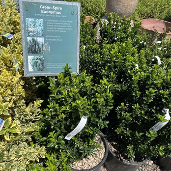 Sky Nursery - Nurseries & Gardening Near Me - Shoreline, Washington Sky Nursery - Nurseries & Gardening Near Me - Shoreline, Washington