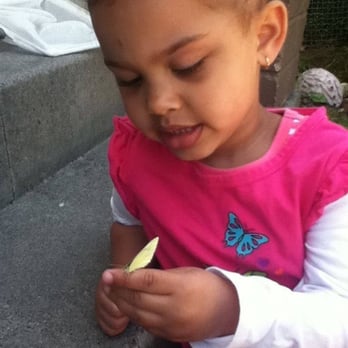 Turtle Tots Daycare - Aydan looking at her butterfly... Learning through exploring. - Child Care & Day Care Near Me Turtle Tots Daycare - Aydan looking at her butterfly... Learning through exploring. - Child Care & Day Care Near Me