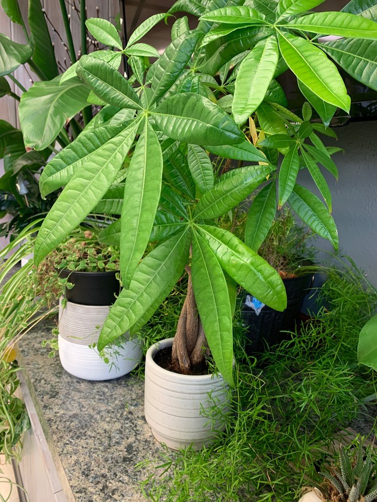 Social spots from Coffee Tree