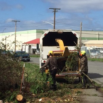 Ken's Tree Service LLC - Tree Services Near Me - Everson, Washington