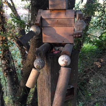 Bridgeview Trail - Golf balls troll - Dog Parks Near Me - Oakland, California