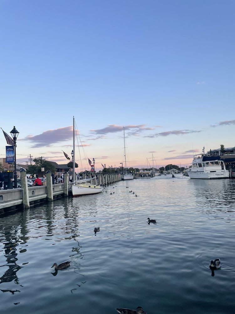 Kunta Kinte - Alex Haley Memorial - social services organization in Edgewater, MD