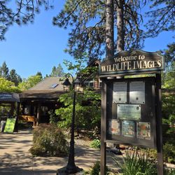 Wildlife Images Rehabilitation & Education Center