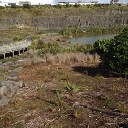 Maungarei Springs Wetland - Lake/wet land area
