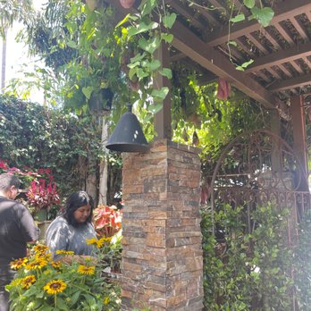 Mickey Hargitay Plants - Nurseries & Gardening Near Me - Los Angeles, California