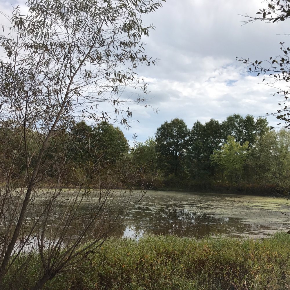 Top 10 Best Hiking Trails in Green Brook Township, NJ Last Updated