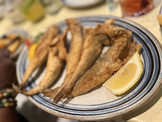 Taverna Kyclades Bayside by null