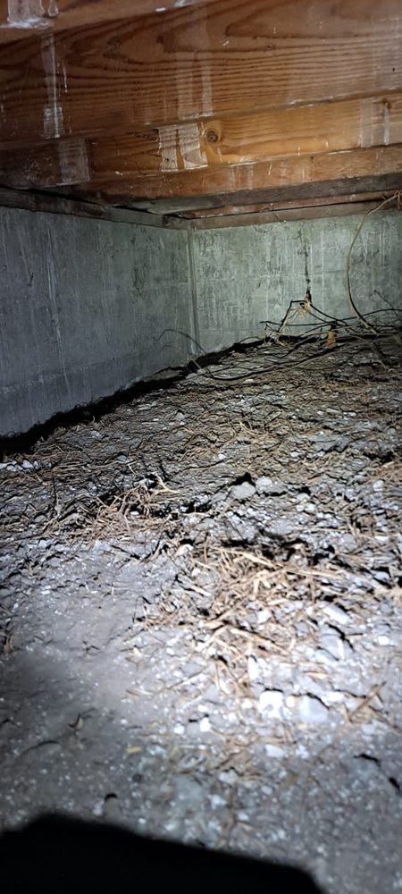 Slide of RLM Cali Builders