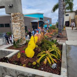 Ocean View Church - 10,000 Easter egg hunt for the kids