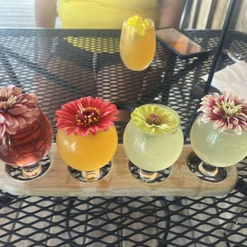Crazy Daisies - Mimosa flight - Nurseries & Gardening Near Me - Syracuse, New York