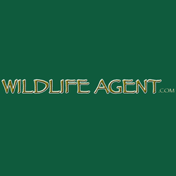 Hulick's Wildlife Control