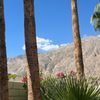 Quality Inn Palm Springs Downtown gift card