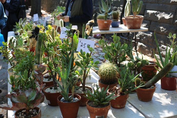 Fort Greene Park Greenmarket by null