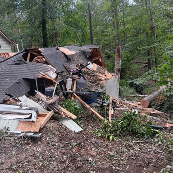 Bobcat Tree Service - Tree Services Near Me - Virginia Beach, Virginia Bobcat Tree Service - Tree Services Near Me - Virginia Beach, Virginia
