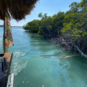 Tiki Boat Adventures - Can you see the beauty!! - Boat Tours Near Me - Key West, Florida Tiki Boat Adventures - Can you see the beauty!! - Boat Tours Near Me - Key West, Florida