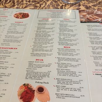 Singing Bamboo Chinese Restaurant - Dim Sum Near Me - West Palm Beach, Florida