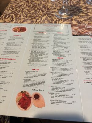 Menu photo 7 Singing Bamboo Chinese Restaurant West Palm Beach, FL