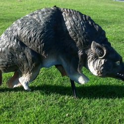 Claremont Golf Club - Boar to scare away golfers or geese? Yikes