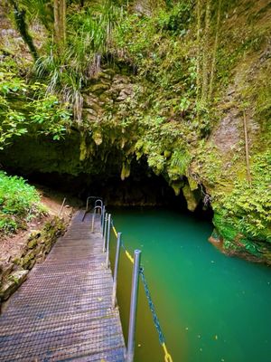 Waitomo Glowworm Caves by null