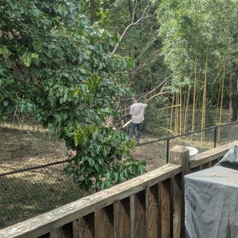 Real Tree Guys - Taking down a giant dead tree today. - Tree Services Near Me - Huntsville, Alabama Real Tree Guys - Taking down a giant dead tree today. - Tree Services Near Me - Huntsville, Alabama