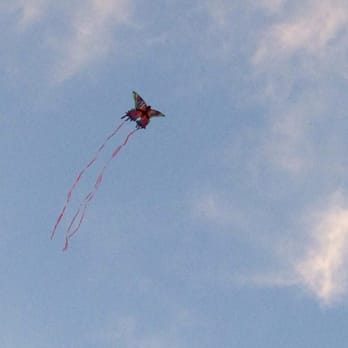 Lafreniere Park - Cool kite! - Parks Near Me - Metairie, Louisiana