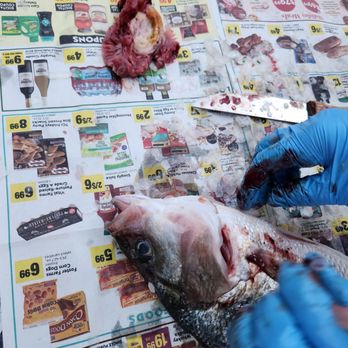 Santa Rosa Seafood - a person cutting a fish with a knife - Seafood Markets Near Me - Santa Rosa, California